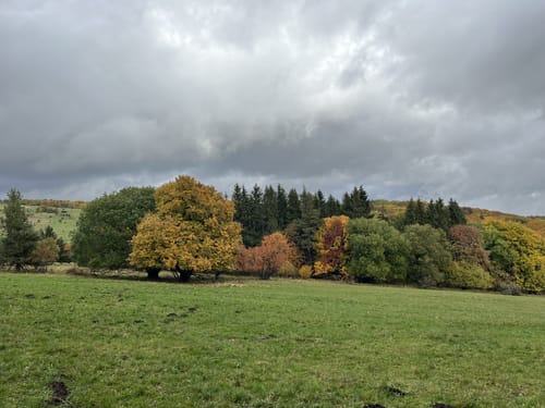 Hochrhöntour (Extratour)