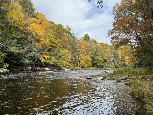 Best Hikes and Trails in Neversink River Unique Area | AllTrails