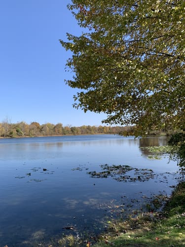 Best Hikes and Trails in Tinkers Creek State Park AllTrails