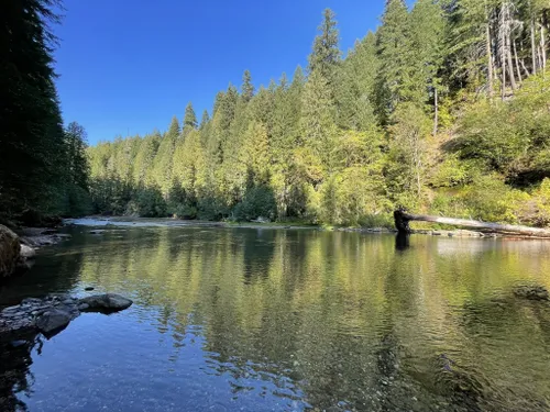 2023 Best 10 Camping Trails in Gifford Pinchot National Forest | AllTrails