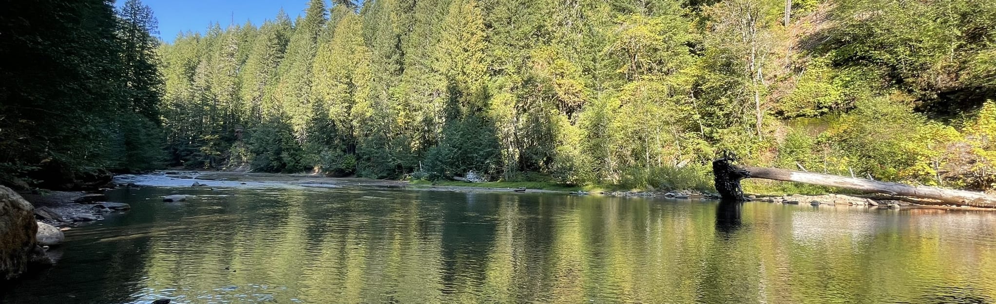 Lower Falls Recreation Area Campground 587 foto's Washington