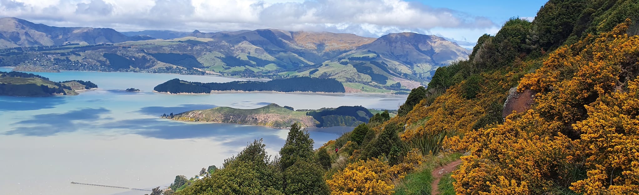 Crater Rim Walkway Short Loop, Canterbury, New Zealand - 24 Reviews ...