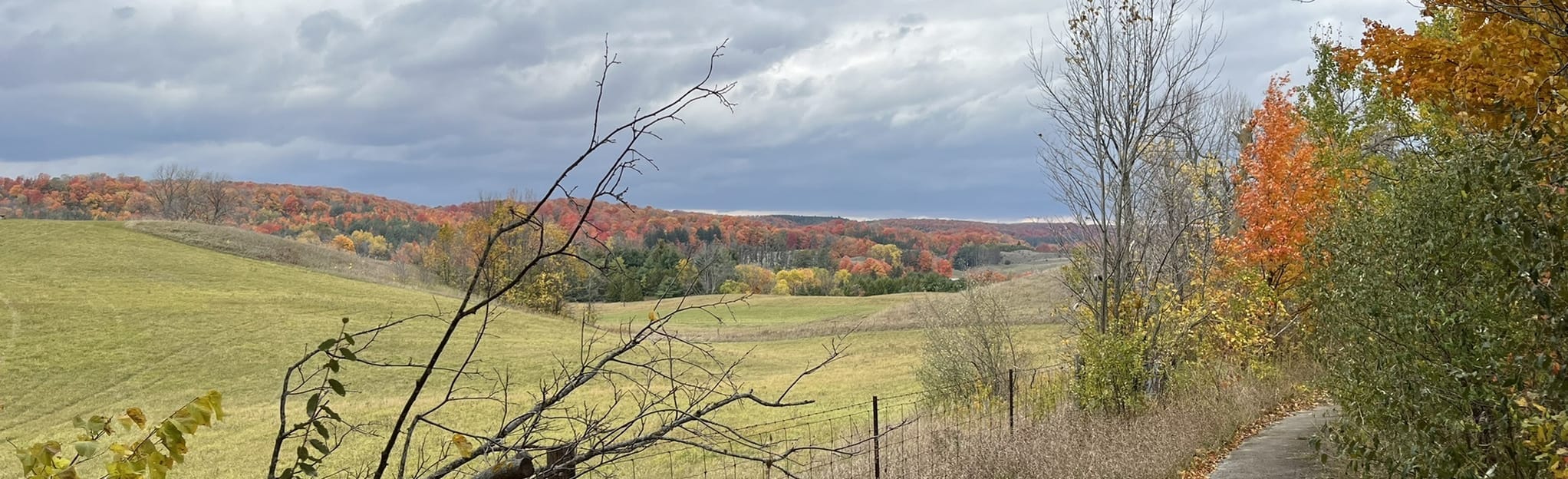 Hockley Eastern Trails Map Guide - EyJidWNrZXQiOiJhc3NldHMuYWxsdHJhaWxzLmNvbSIsImtleSI6InVwbG9hZHMvcGhvdG8vaW1hZ2UvNTMzMDI3OTUvYmU3NDE3MjQ5NGU4NmZkOGRlZGUzMzUyODQ0MWM1NTcuanBnIiwiZWRpdHMiOnsidG9Gb3JtYXQiOiJqcGVnIiwicmVzaXplIjp7IndpZHRoIjoyMDQ0LCJoZWlnaHQiOjYyNCwiZml0IjoiY292ZXIifSwicm90YXRlIjpudWxsLCJqcGVnIjp7InRyZWxsaXNRdWFudGlzYXRpb24iOnRydWUsIm92ZXJzaG9vdERlcmluZ2luZyI6dHJ1ZSwib3B0aW1pc2VTY2FucyI6dHJ1ZSwicXVhbnRpc2F0aW9uVGFibGUiOjN9fX0=