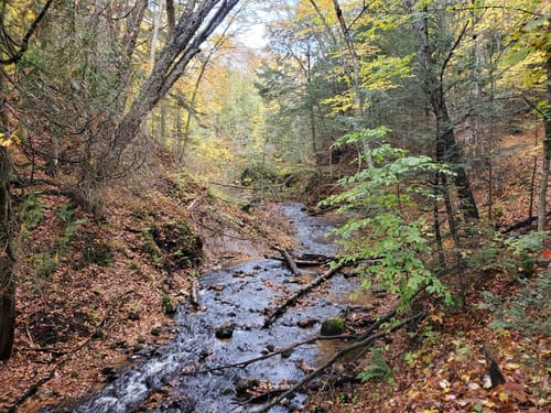 Best Hikes and Trails in Cut River Bridge Roadside Park | AllTrails