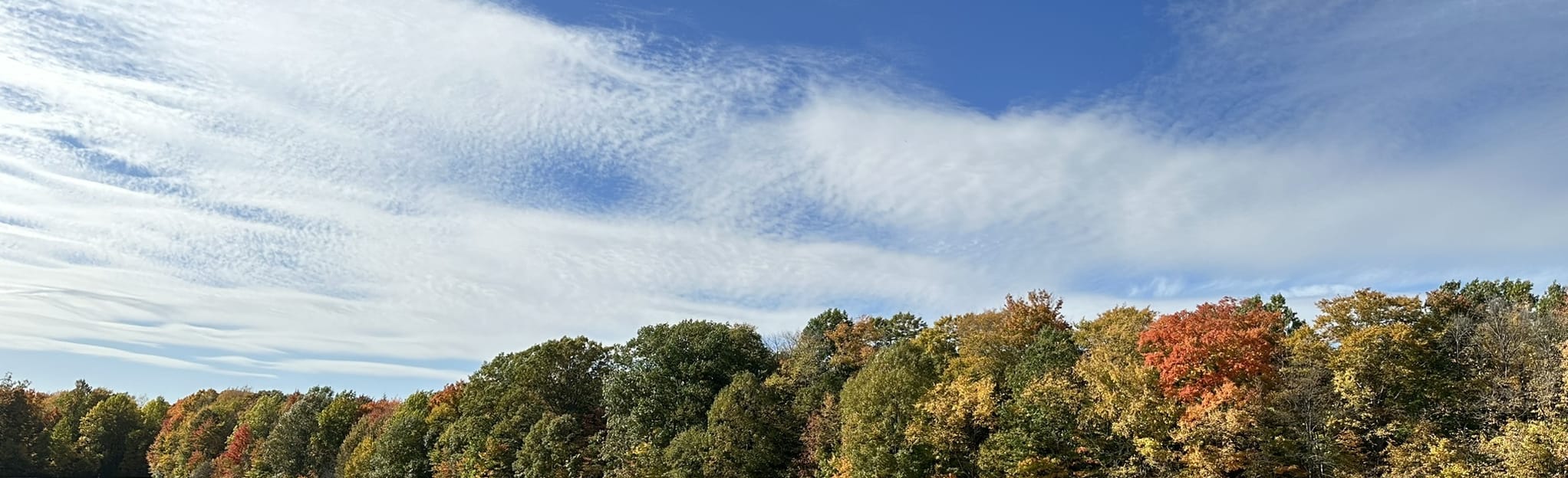 Pleasant Ridge Park Trail, Pennsylvania 35 Reviews, Map AllTrails