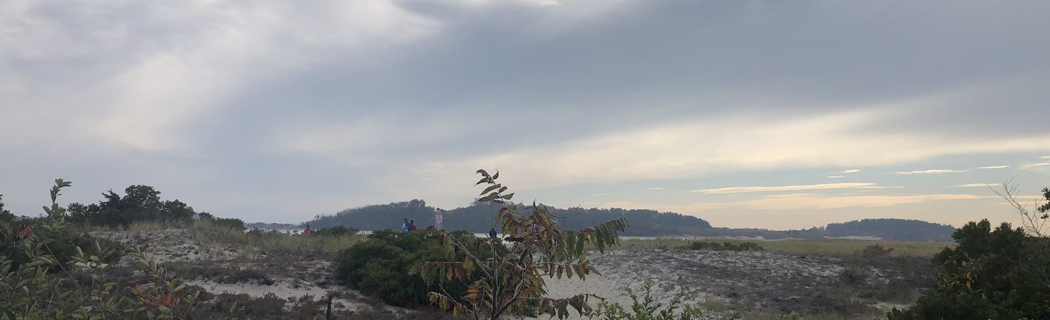 Sandy Point Beach Access Trail Map, Guide Massachusetts AllTrails