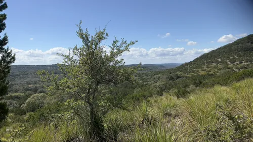 Trails in Hill Country State Natural Area, Texas, United States 53312511 | AllTrails.com