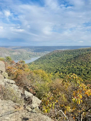 10 Best Hikes and Trails in Storm King State Park AllTrails