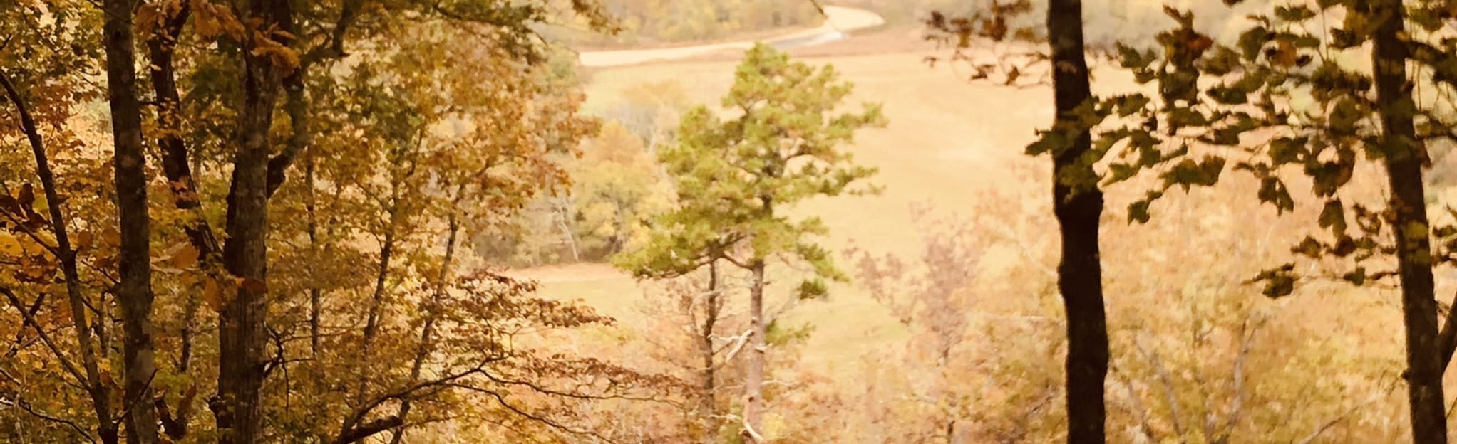 Bryant Creek State Park Walk 6 Reviews, 7 Photos, Map Missouri