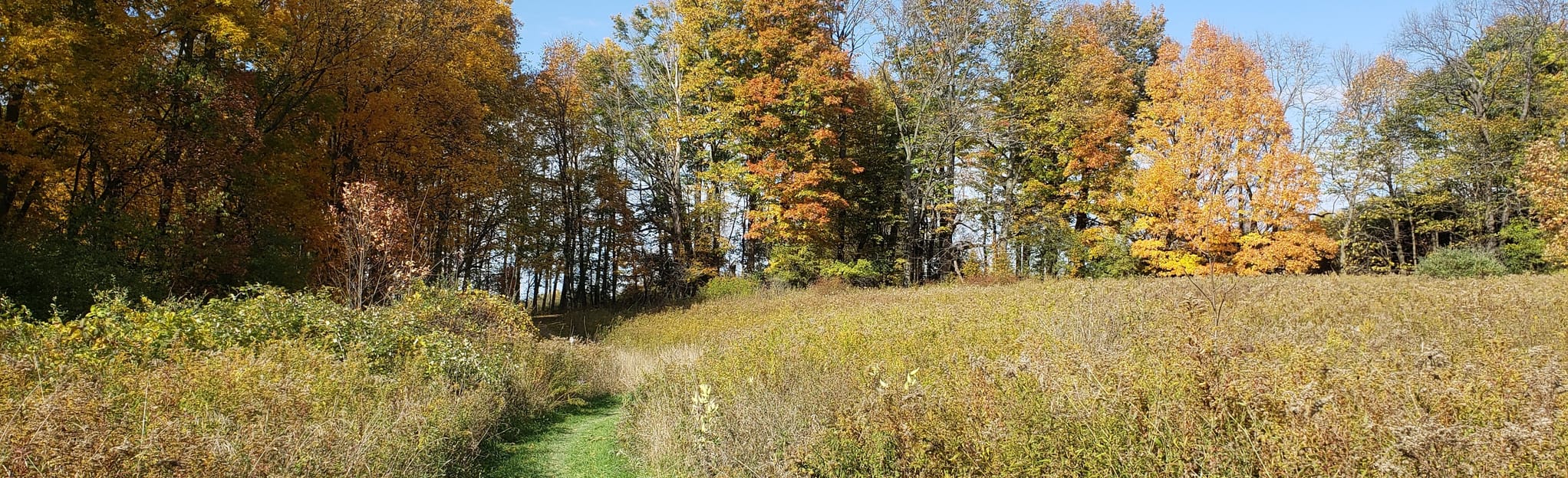 Green Lakes Double Loop 160 Reviews, Map New York AllTrails