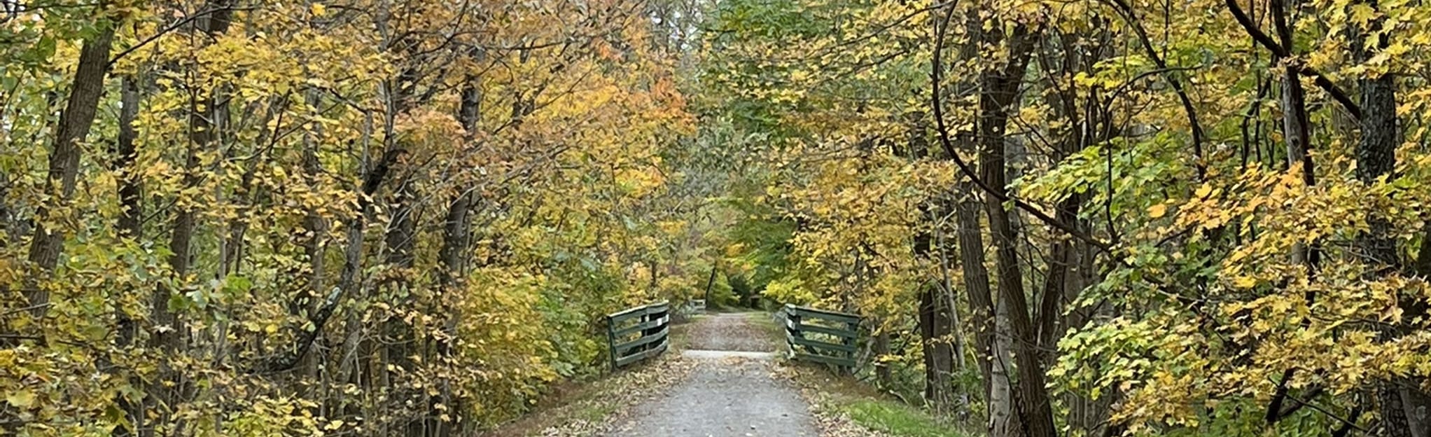 Deckers Creek Trail Reedsville to West Virginia 42
