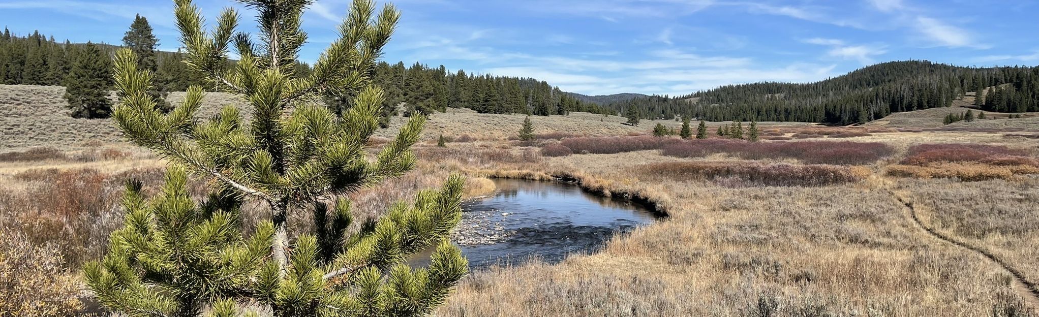 Fawn Pass to Fan Creek Trail: 47 Fotos - Montana | AllTrails