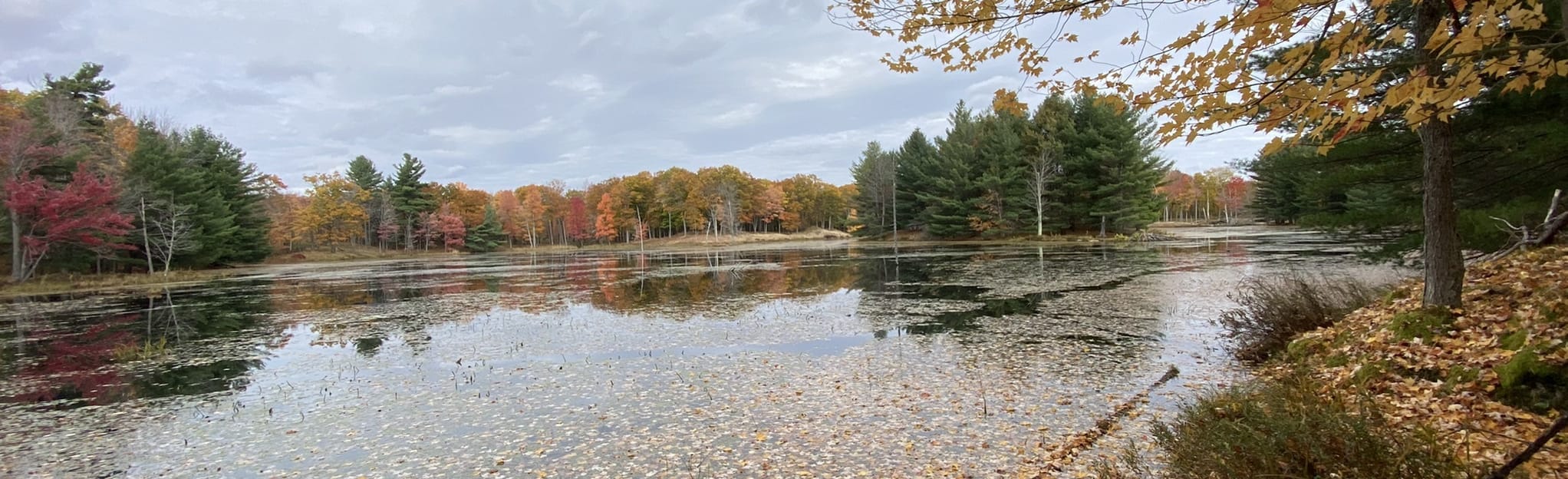 Gibson and Hemlock Lake Loop 19 Reviews, Map Ontario, Canada AllTrails