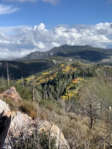 Best hikes shop mt lemmon