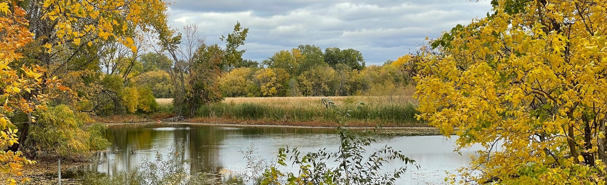 Veterans Memorial Park Loop, Minnesota 248 Reviews, Map AllTrails