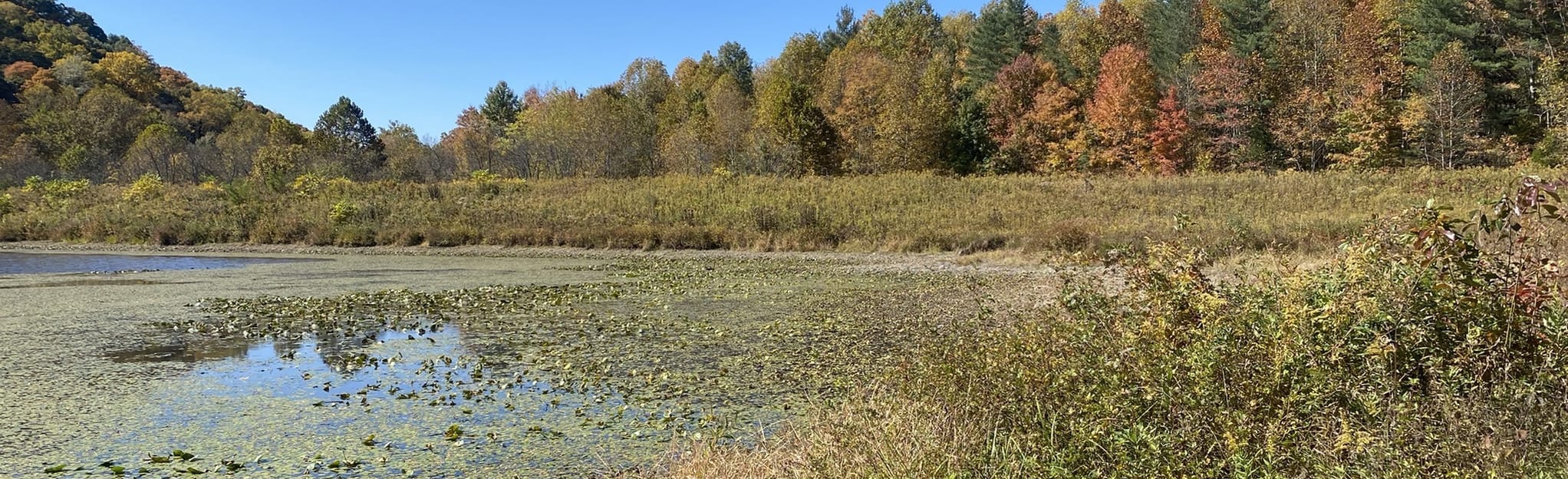 Knobstone Trail Elk Creek to Spurgeon Hollow, Indiana 97 Reviews