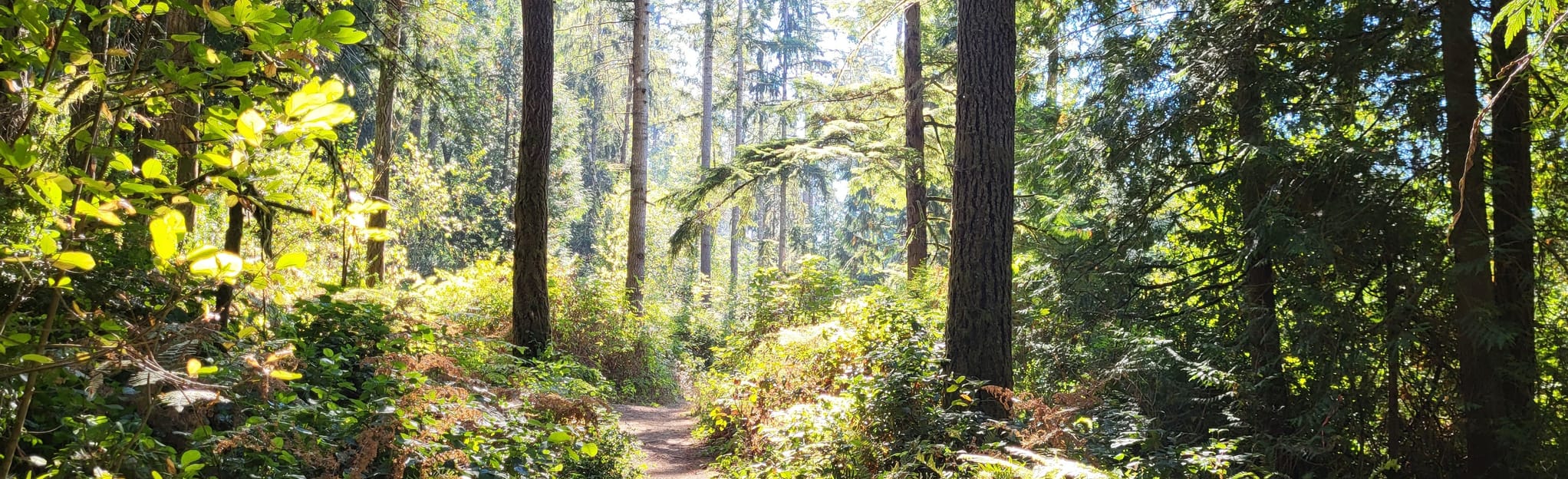 Spadoni and Crescent Lake Loop [PROPRIÉTÉ PRIVÉE] Washington AllTrails