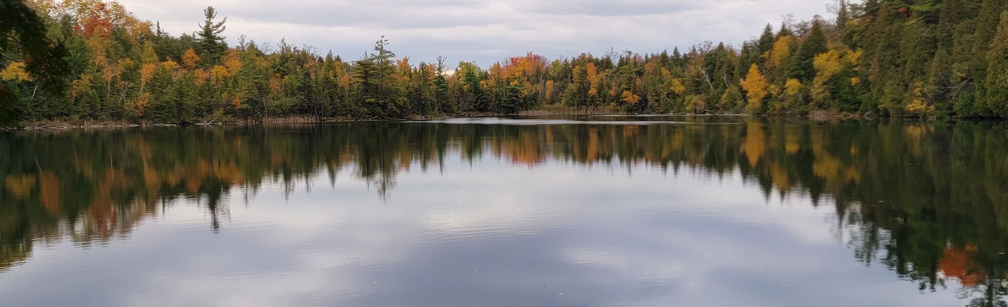 Nassagaweya, Bruce, and Crawford Lake Trails Loop: 545 Reviews, Map ...