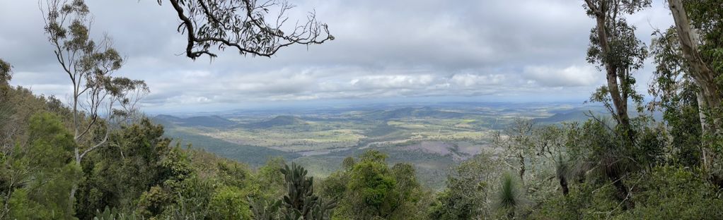 are dogs allowed at bunya mountains