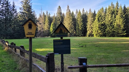 Kammweg Erzgebirge-Vogtland Etappe 11: Johanngeorgenstadt - Weitersglashütte