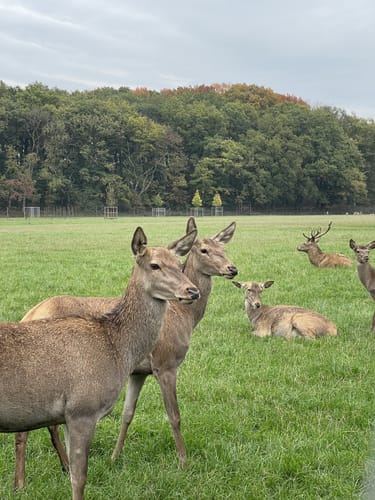 Weeze nach Kevelaer entlang der Niers