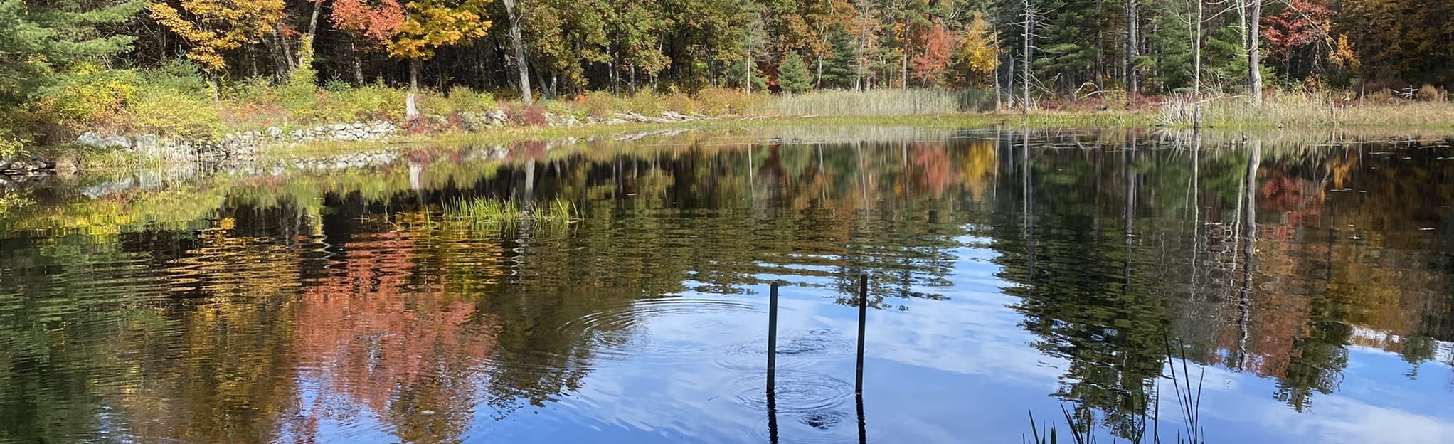Rabbit Run Rail Bed and Soapstone Hill Loop, Massachusetts 158