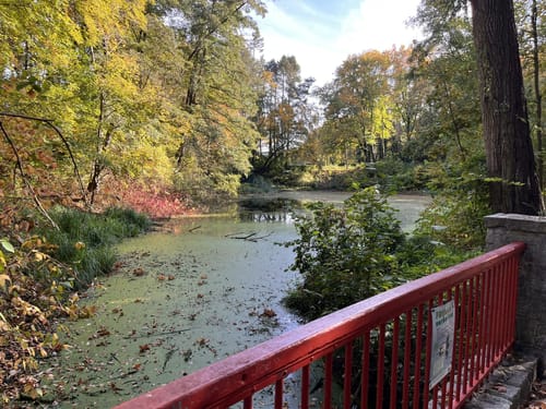 Rund um den Volkspark Rehberge