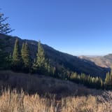17785742663864253440allescout Mountain And East Fork Of Mink Creek Idaho Alltrailshtml