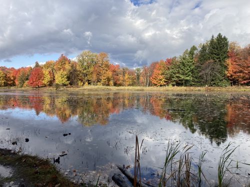 2023 Best Easy Trails in Reinstein Woods Nature Preserve and ...