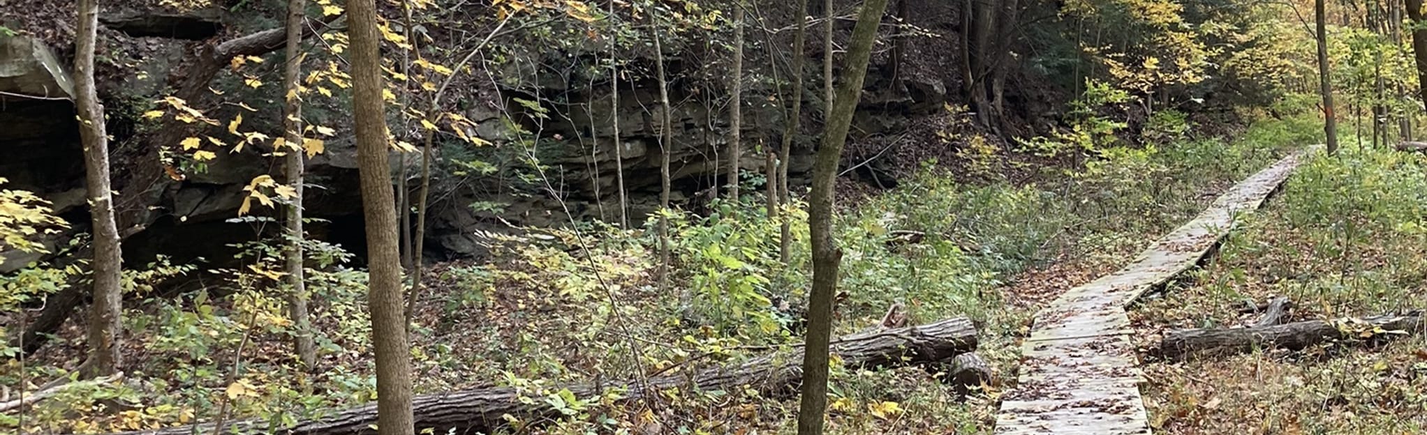 Trout Run Trail 26 Reviews, 33 Photos, Map Pennsylvania AllTrails