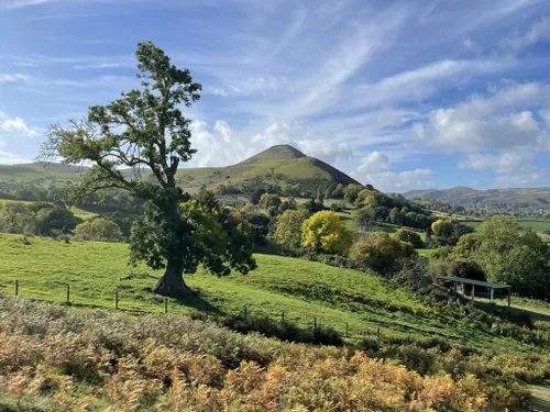 Best Dog Friendly Trails in Shropshire Hills National Landscape (AONB