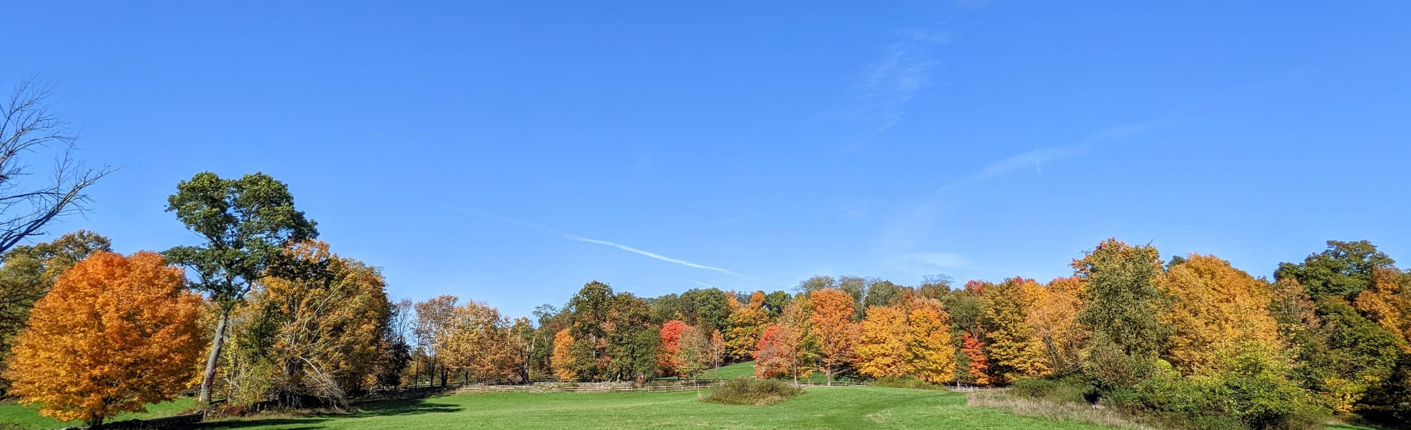 Baxter Preserve Loop, New York 96 Reviews, Map AllTrails