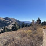 17785742663864253440allescout Mountain And East Fork Of Mink Creek Idaho Alltrailshtml