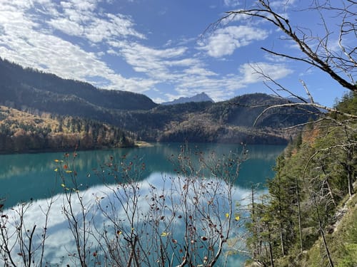 Alpsee Rundweg