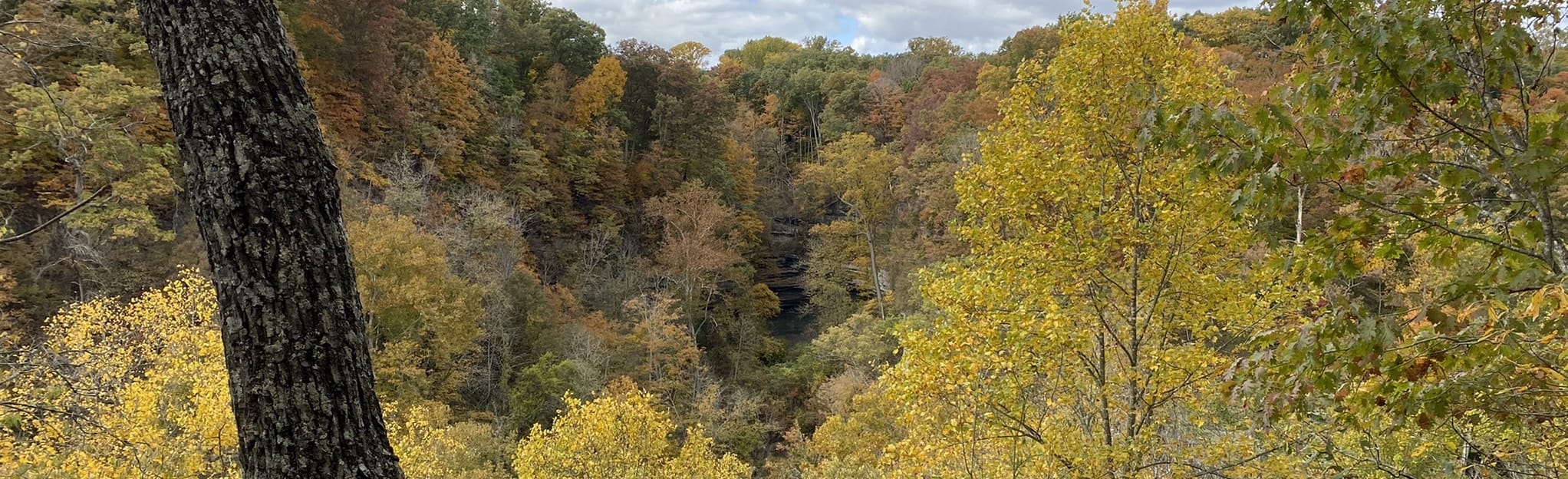 Clifty Falls Trail 7 Map Guide - EyJidWNrZXQiOiJhc3NldHMuYWxsdHJhaWxzLmNvbSIsImtleSI6InVwbG9hZHMvcGhvdG8vaW1hZ2UvNTMzNzQzNTQvOTNlYTlhNzEyZDRiMDRkODAwMDM4NTkxNDJjN2NiNWEuanBnIiwiZWRpdHMiOnsidG9Gb3JtYXQiOiJqcGVnIiwicmVzaXplIjp7IndpZHRoIjoyMDQ0LCJoZWlnaHQiOjYyNCwiZml0IjoiY292ZXIifSwicm90YXRlIjpudWxsLCJqcGVnIjp7InRyZWxsaXNRdWFudGlzYXRpb24iOnRydWUsIm92ZXJzaG9vdERlcmluZ2luZyI6dHJ1ZSwib3B0aW1pc2VTY2FucyI6dHJ1ZSwicXVhbnRpc2F0aW9uVGFibGUiOjN9fX0=