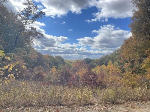 Best 10 Hikes and Trails in Brown - EyJidWNrZXQiOiJhc3NldHMuYWxsdHJhaWxzLmNvbSIsImtleSI6InVwbG9hZHMvcGhvdG8vaW1hZ2UvNTMzNzU2NTQvMTZjYWJjYjI2ODMwMzY0NWI3ZjE3MjA4MWE3ZWQwMjcuanBnIiwiZWRpdHMiOnsidG9Gb3JtYXQiOiJ3ZWJwIiwicmVzaXplIjp7IndpZHRoIjo1MDAsImhlaWdodCI6NTAwLCJmaXQiOiJpbnNpZGUifSwicm90YXRlIjpudWxsLCJqcGVnIjp7InRyZWxsaXNRdWFudGlzYXRpb24iOnRydWUsIm92ZXJzaG9vdERlcmluZ2luZyI6dHJ1ZSwib3B0aW1pc2VTY2FucyI6dHJ1ZSwicXVhbnRpc2F0aW9uVGFibGUiOjN9fX0=