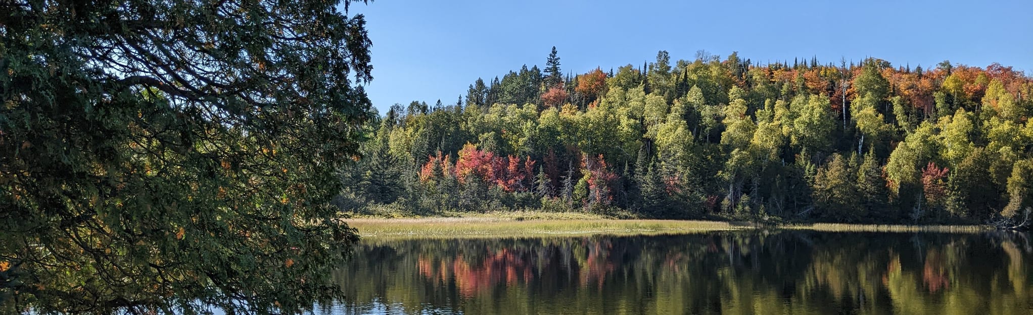 Benson Lake Loop, Minnesota - 64 Reviews, Map | AllTrails