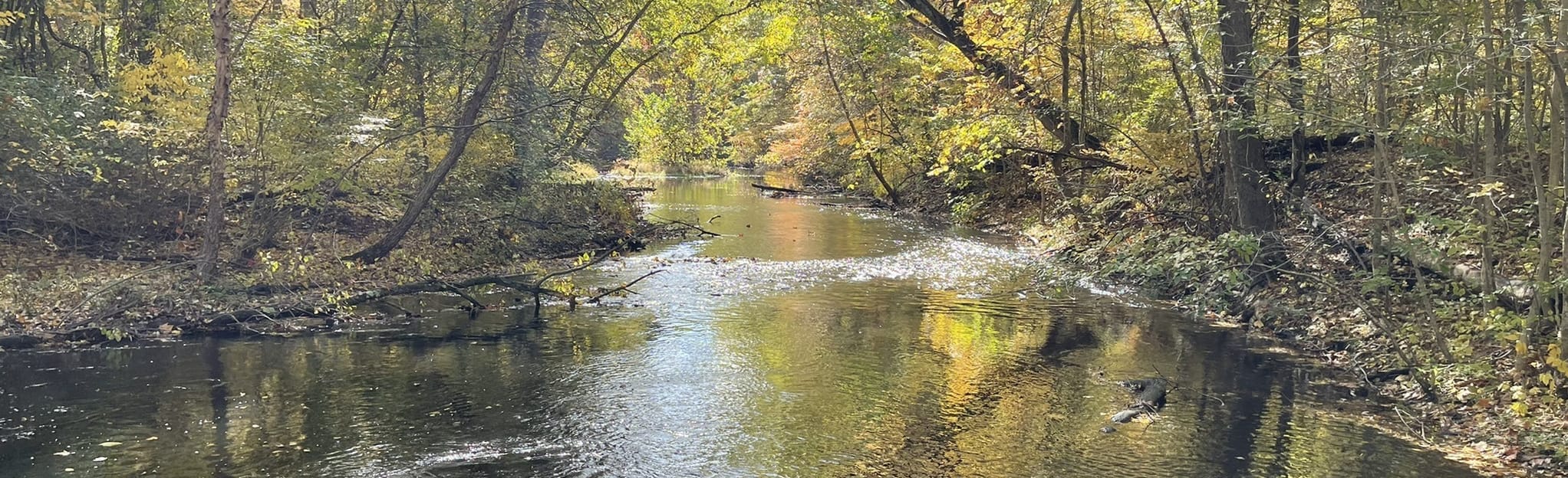 Wanaque Ridge Trail Loop 147 Reviews, Map New Jersey AllTrails