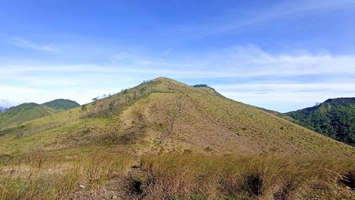 Best Hikes and Trails in Cagar Alam Gunung Burangrang | AllTrails