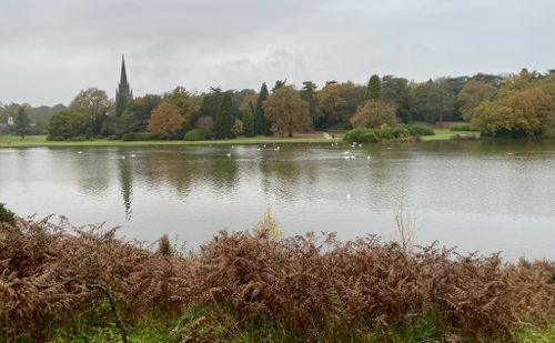 can dogs go off lead at clumber park