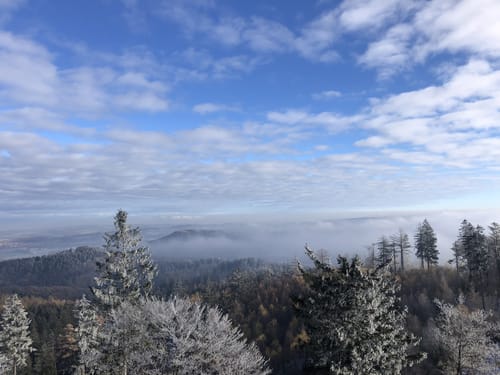 Dörenberg ab Holzhausen (MTB)