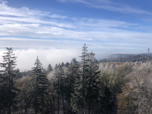 Dörenberg ab Holzhausen (MTB)