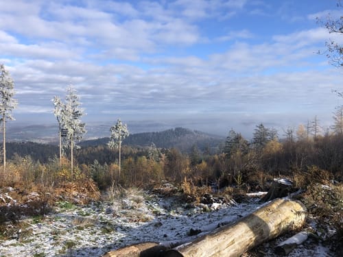 Dörenberg ab Holzhausen (MTB)