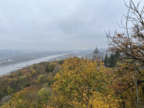 Traumhafte Siebengebirgsrunde mit Löwenburg und Drachenfels