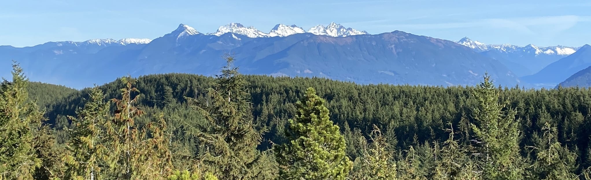 Vedder Mountain via Bowman Trail 40 Reviews, Map British Columbia