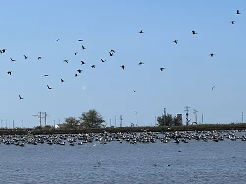 2023 Best Trails, Walks, and Paths in La Puebla del Río AllTrails