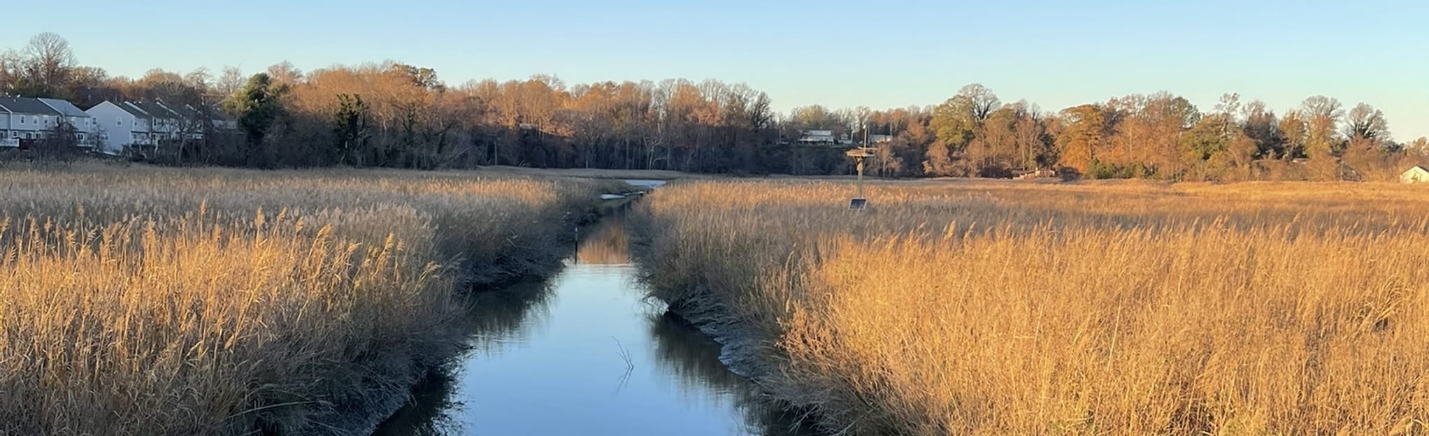 Chesapeake Beach Railway Trail, Maryland 254 Reviews, Map AllTrails