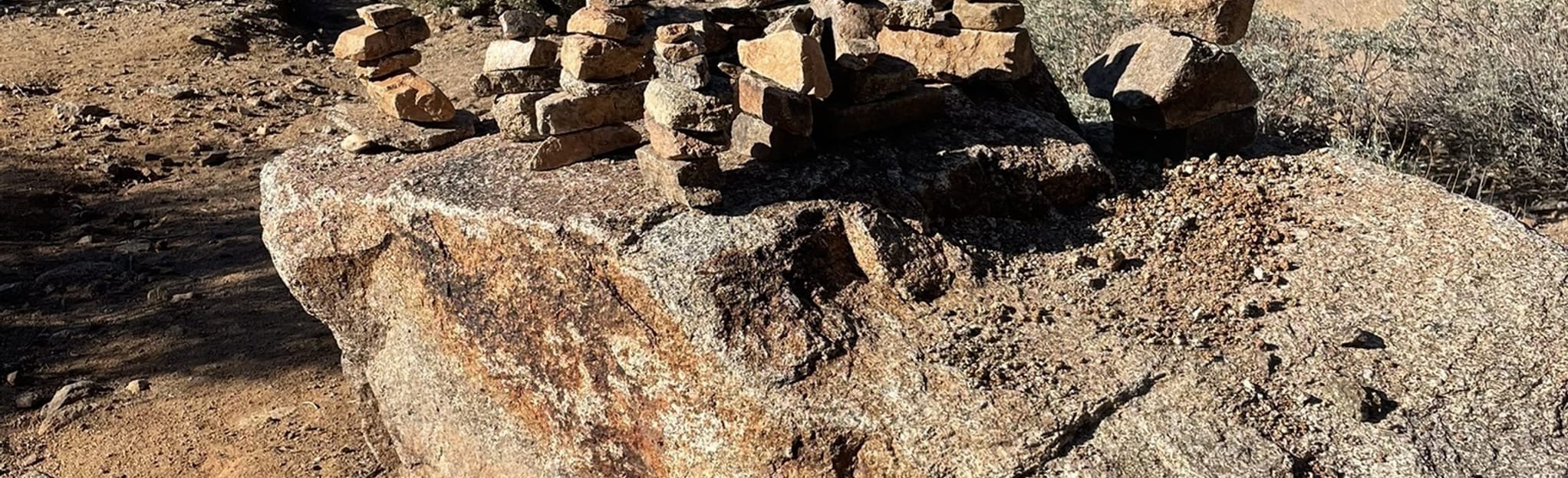 Buffalo Ridge Loop, Arizona - 130 Reviews, Map | AllTrails