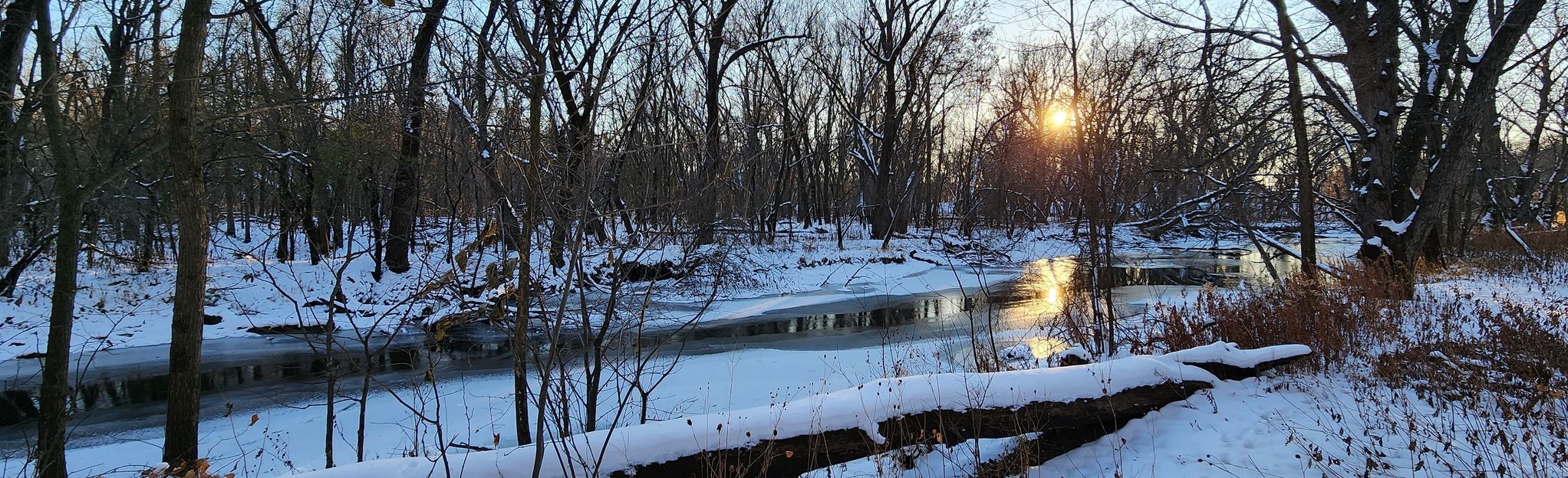 Escape to the Enchanted Forest: A Guide to Minnesota's Kaplan Woods State Park