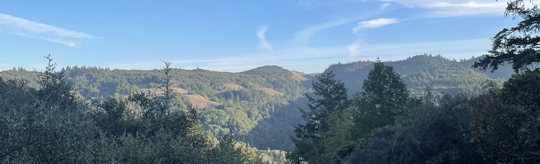 San Geronimo Ridge via Willis Evans Trail and San Geronimo Ridge Road